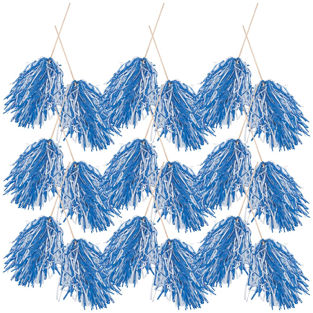 Amazon.com: Fun Express 2-Tone Navy & White Pom Poms